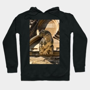 Gargoyle on York Minster 2 Hoodie